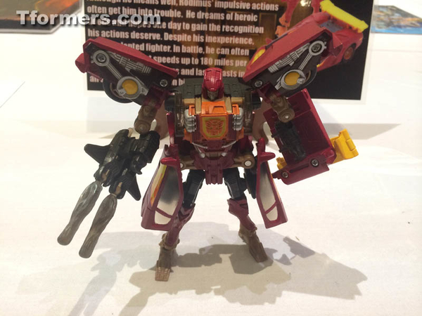 BotCon 2014 Transformers Art Show  (69 of 185)